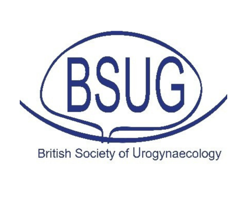 BSUG logo