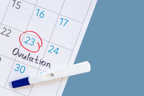 Calendar with ovulation date on and pregnancy test