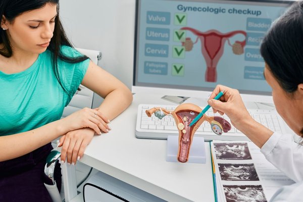 A woman at doctors appointment looking at a gynaecological model