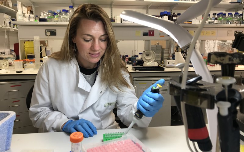Image shows Dr Sarah McClelland, Senior Lecturer at Barts Cancer Institute, Queen Mary University of London in a lab. She's wearing a white coat and doing some lab tests.