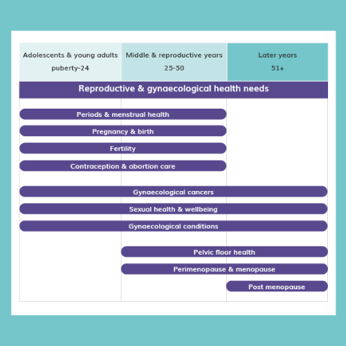 A diagram showing research themes spanning across the life course. Three headings are adolescents and young adults (puberty - 24), middle and reproductive years (25-50) and later years (51+).